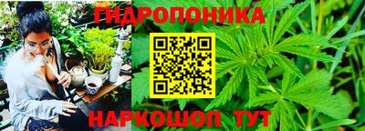 ПСИЛОЦИБИНОВЫЕ ГРИБЫ Канаш