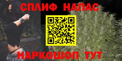 ПСИЛОЦИБИНОВЫЕ ГРИБЫ Канаш