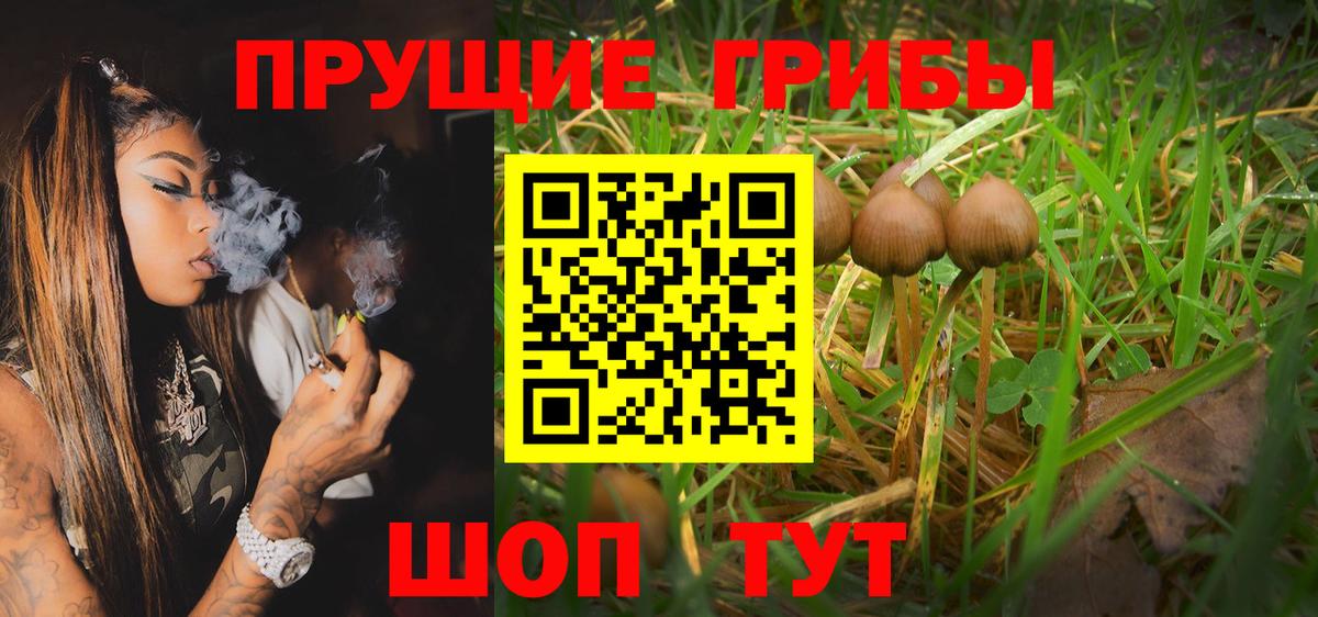 Псилоцибиновые грибы мицелий Учалы